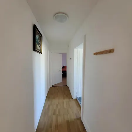 5 Pieces A 15 Minutes Du Du Der * Wassy